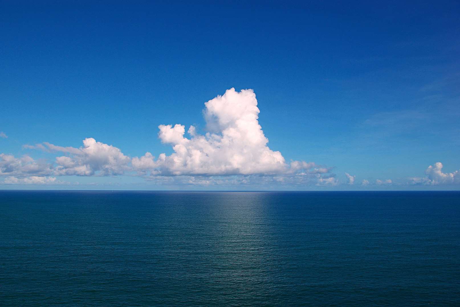 Fish Facts, Atlantic Ocean