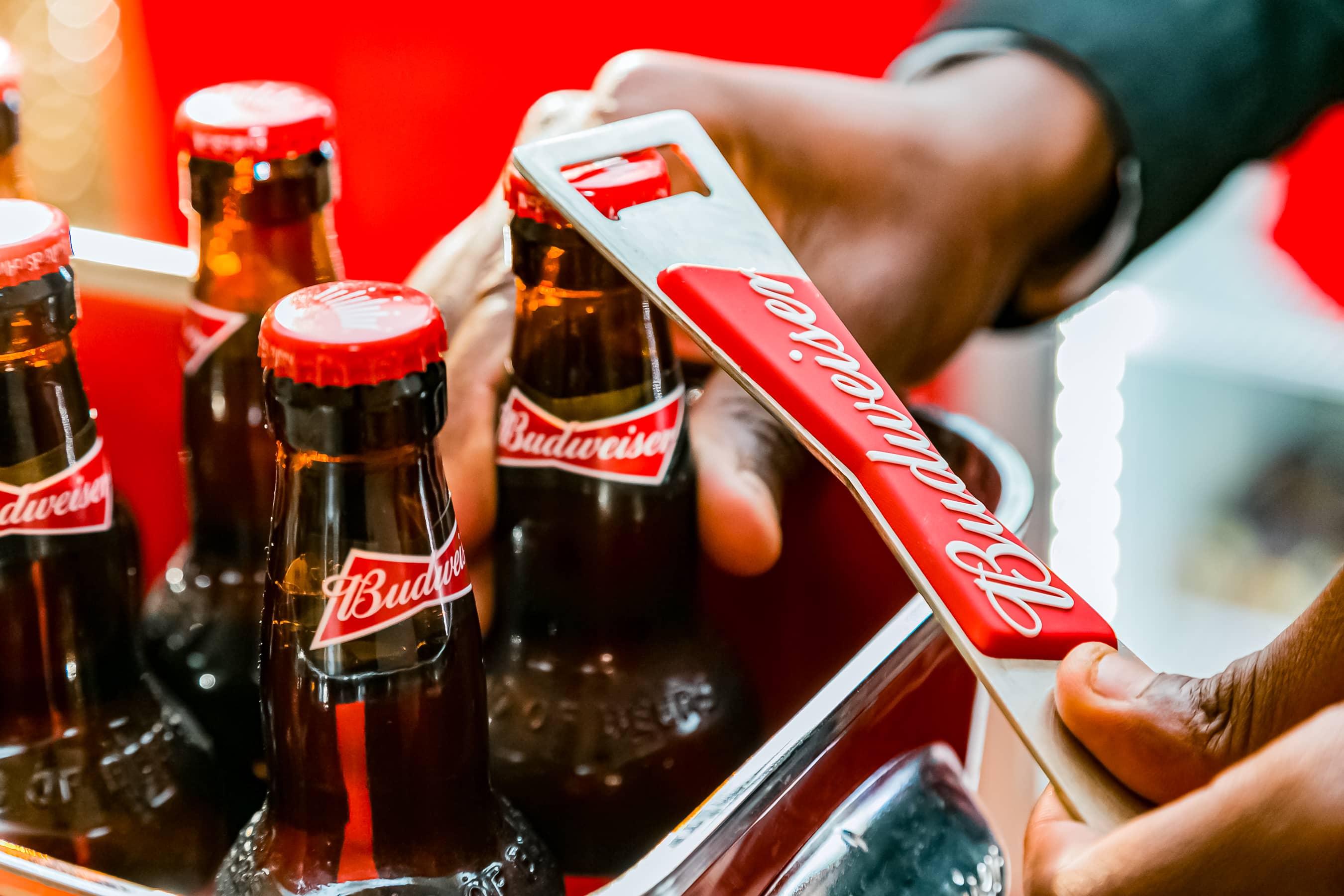Бутылки пива Budweiser в красном фирменном ведерке со льдом на барной стойке